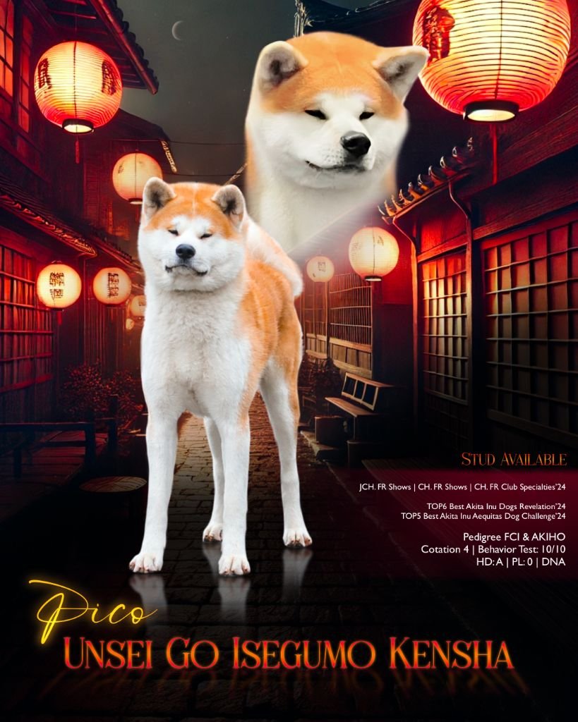 CH. UNSEI GO ISEGUMO KENSHA